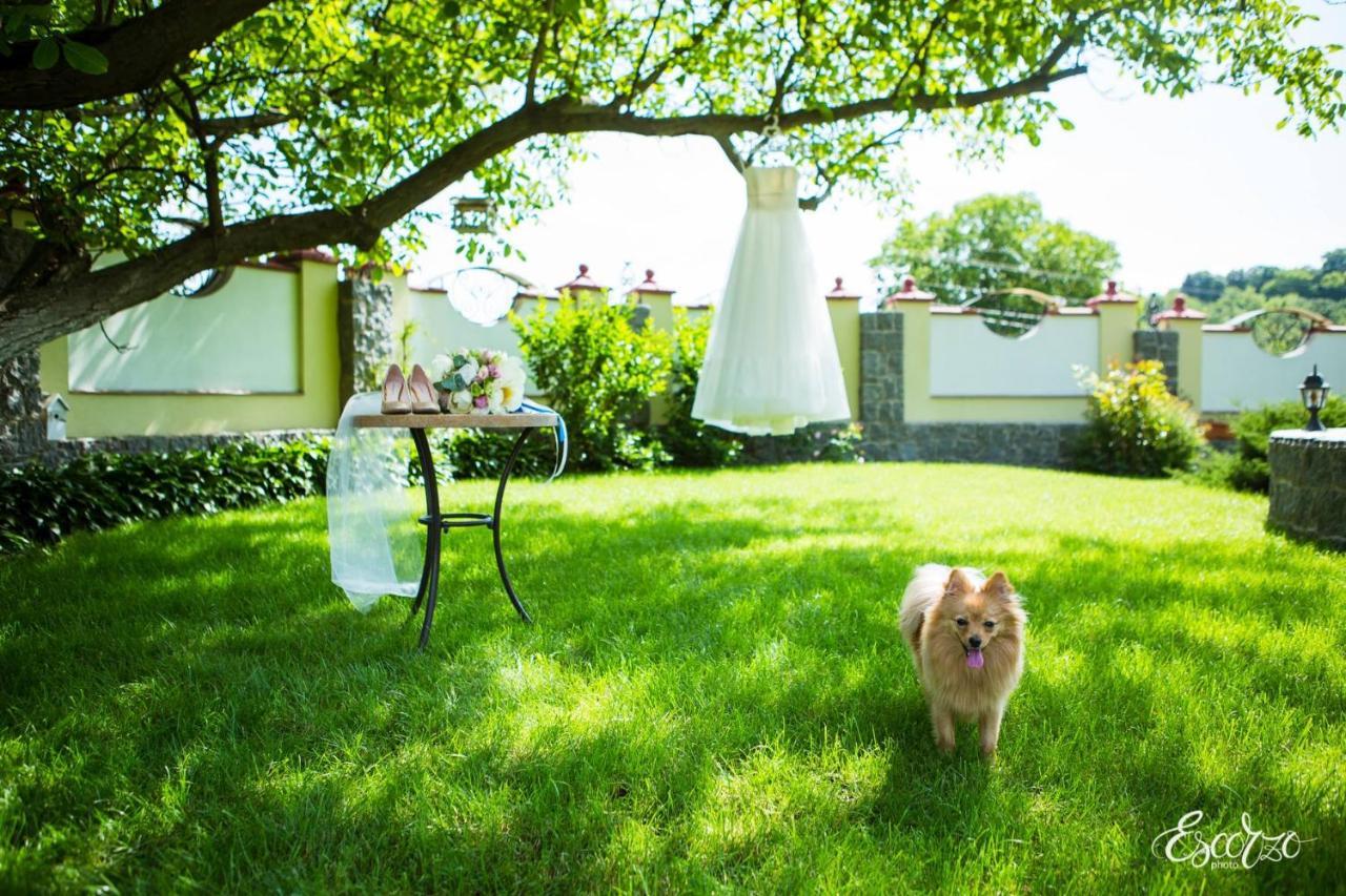 Villa Oselya เคียฟ ภายนอก รูปภาพ